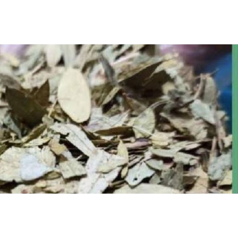 

paket batang daun sena pembersih usus 100 gram kering