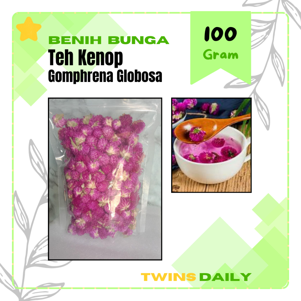 

Twins Daily | 100gr Teh Bunga Kenop Bunga Kancing Gomphrena Globosa 100 Gram