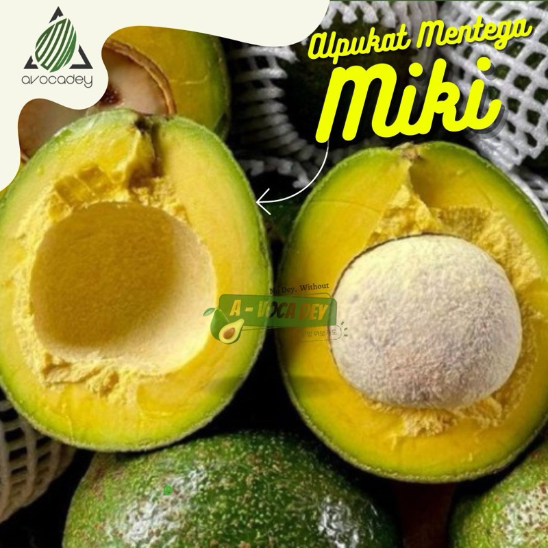 

ALPUKAT MIKI PREMIUM ( 1 BUAH SAJA ) bukan 1 Kg