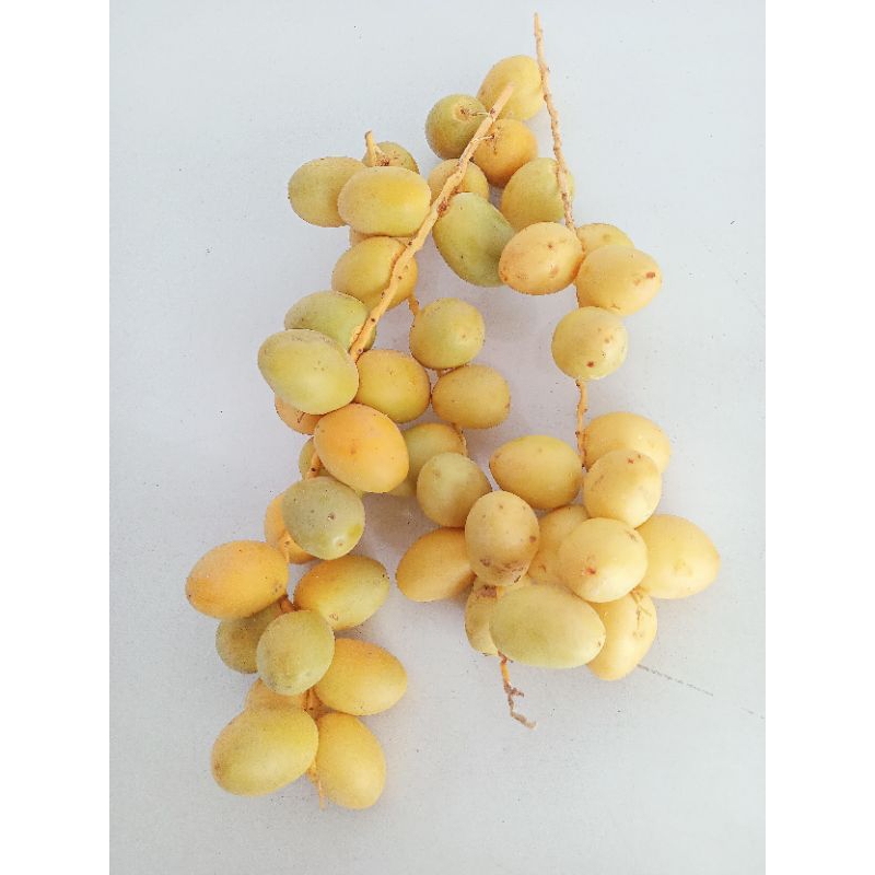 

Kurma Muda Manis 250g