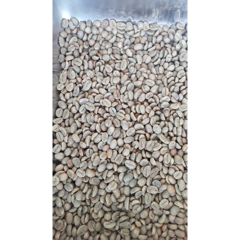 

Green Bean Arabika Palasari natural Kopi Biji Mentah