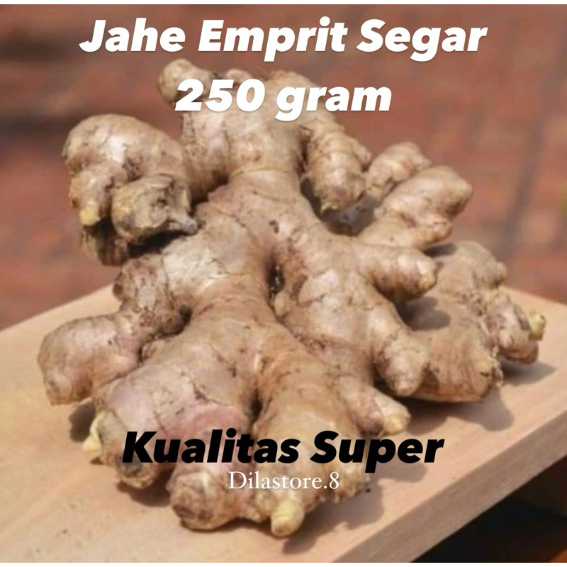 

Jahe Segar 250 Gram Bumbu Dapur