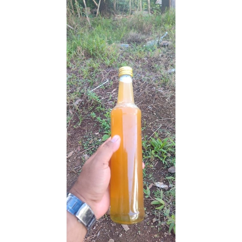 

Madu Kelulut/kelanceng