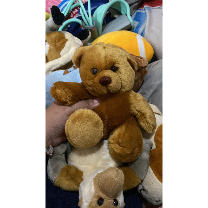 Preloved boneka anak lucu teddy bear kecil mini