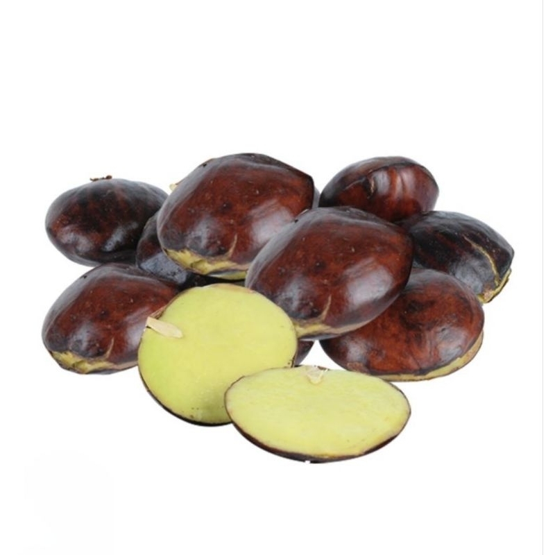 

SAYUR JENGKOL SEGAR FRESH BLACKBEAD FRESH