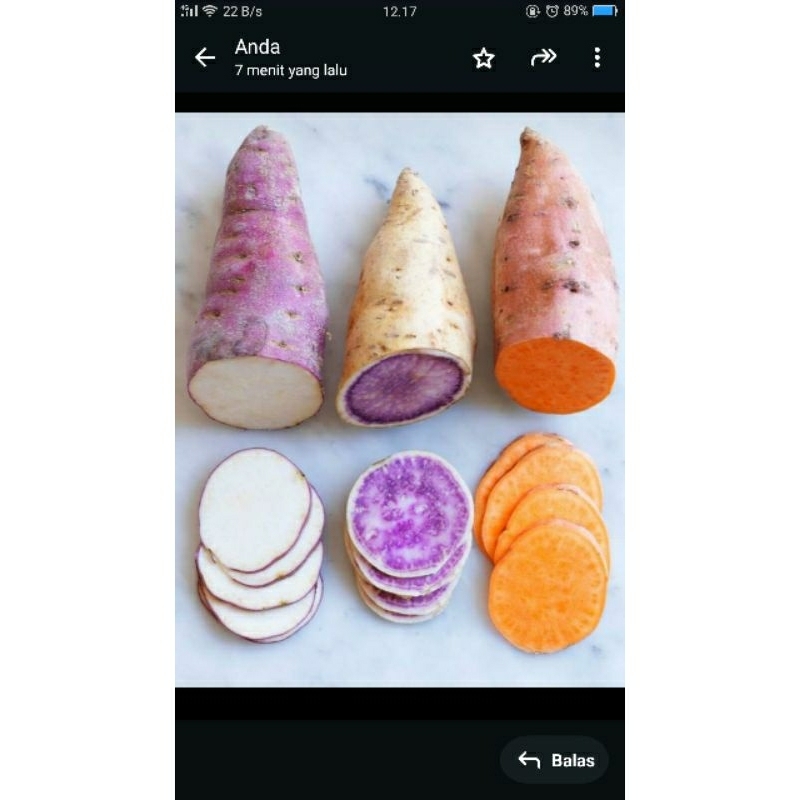 

ubi manis ungu,cilembu