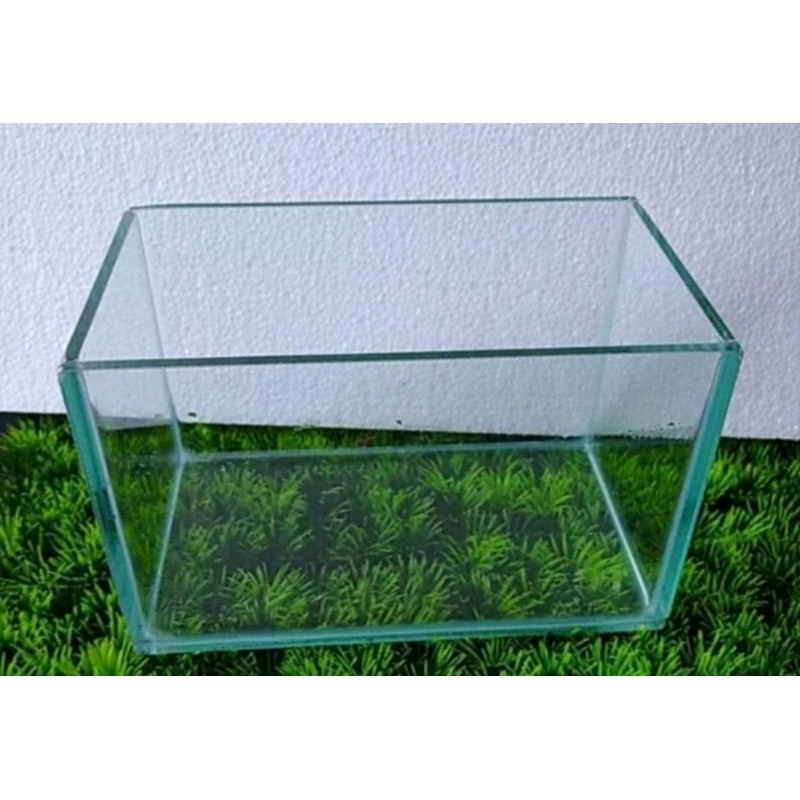 Akuarium Mini Ikan Guppy/Ikan Cupang