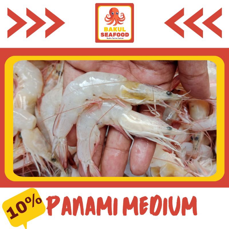 

PANAMI MEDIUM 500GR - 1000GR