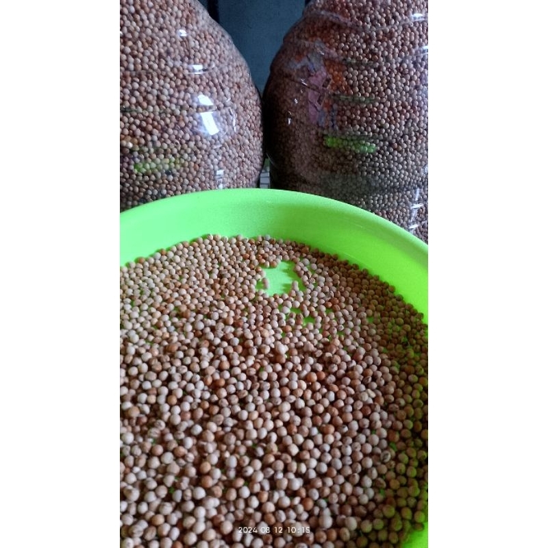 

biji gude kering 1 kg