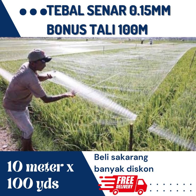 jaring sawah 10 meter × 100yds jaring burung jaring padi jaring emprit jaring pelindung padi