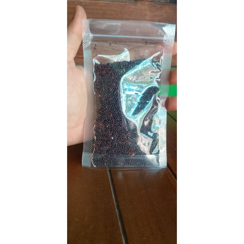 biji sawi pakan burung