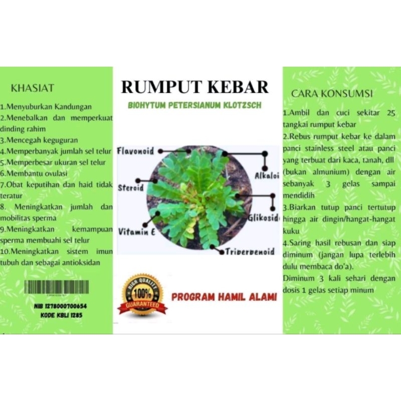 

TEH RUMPUT KEBAR ASLI 100% PAPUA