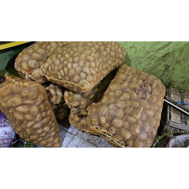 

Kentang dieng besar super 1kg