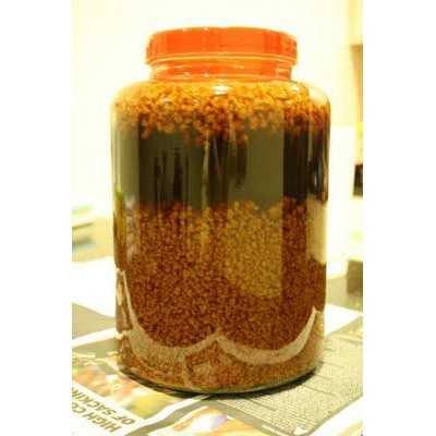 Bibit Teratai Salju Bibit Teratai Salju kualitas super herbal 500 g