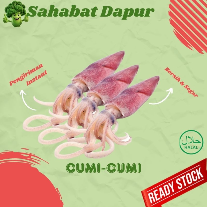 

Cumi - Cumi Basah fresh - seafood fresh - Sahabat Dapur Express