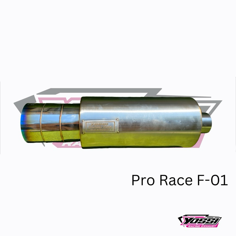 YS Racing Type Pro Race F-01