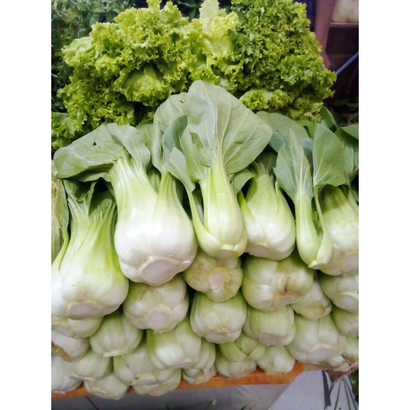 

Sawi pakcoy 1kg