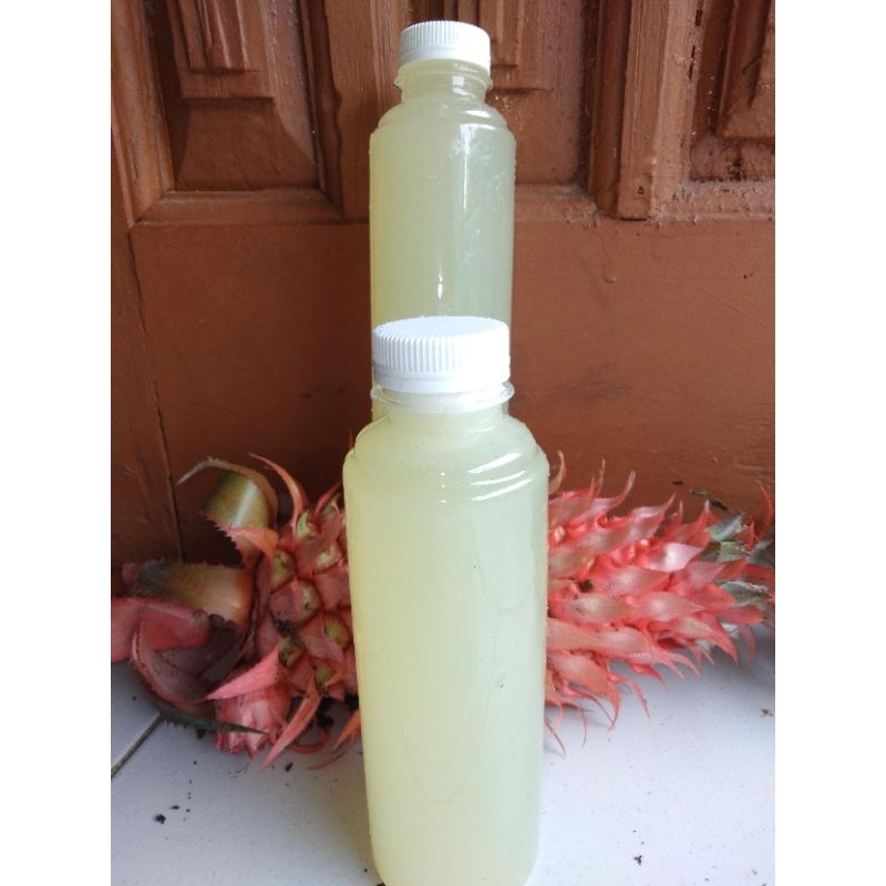 

Jual jus nanas merah muda asli 250 ml