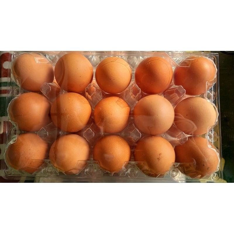 

Telur Ayam Negeri