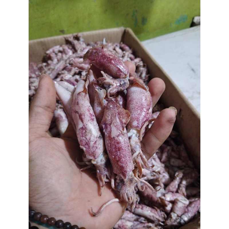 

CUMI ASIN/ikan asin cumi/kualitas super/sedang besar