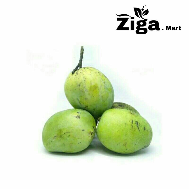 

Buah Mangga Indramayu Segar Mengkal / Matang