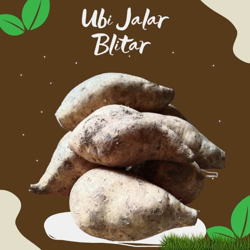 

Ubi Jalar asli Blitar | 1 kg