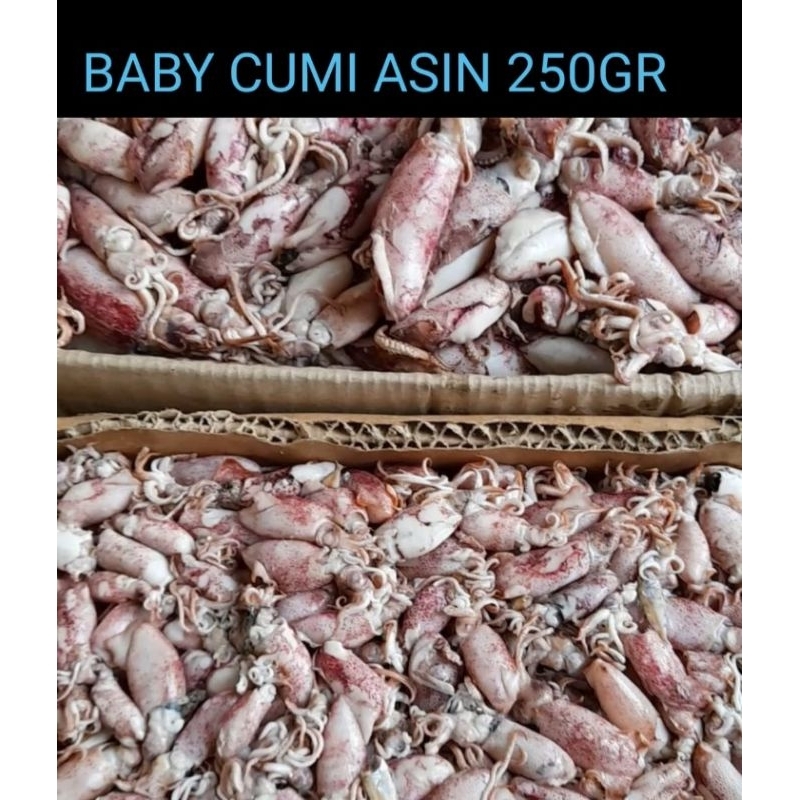 

Baby cumi asin 250 gr