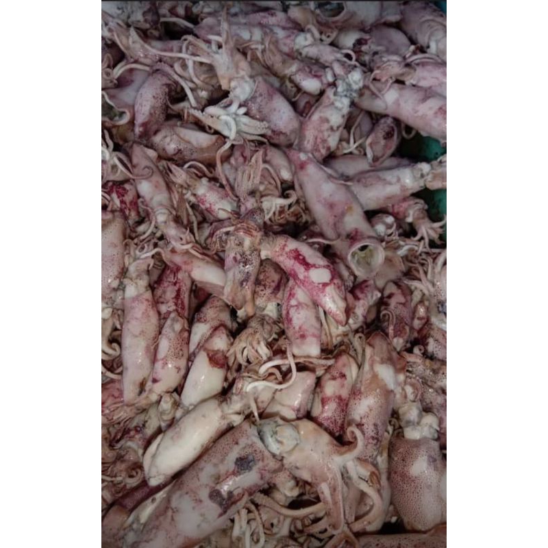 

CUMI/CUMI ASIN,IKAN ASIN