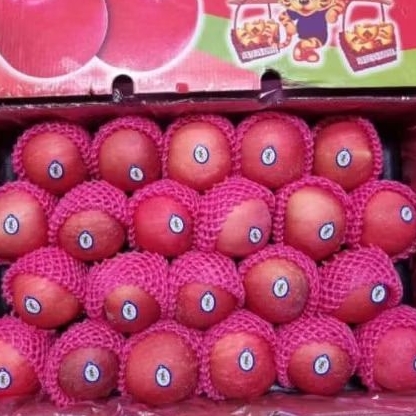 

Apel Fuji per kg