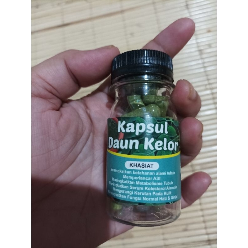 

daun kelor