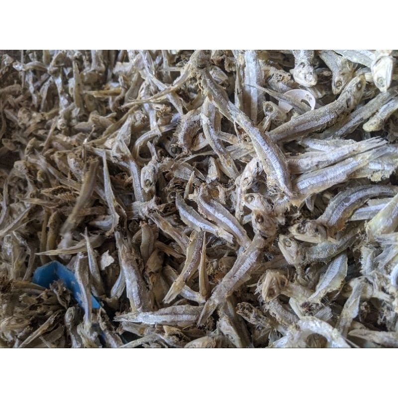 

Teri jengki rebus 250 gr