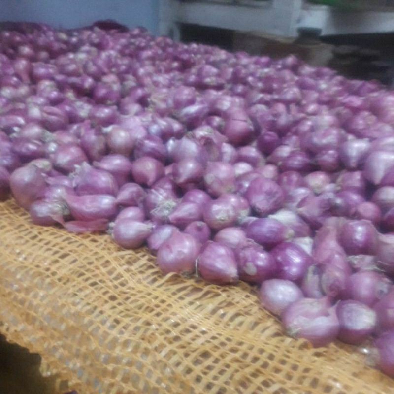 

Bawang merah