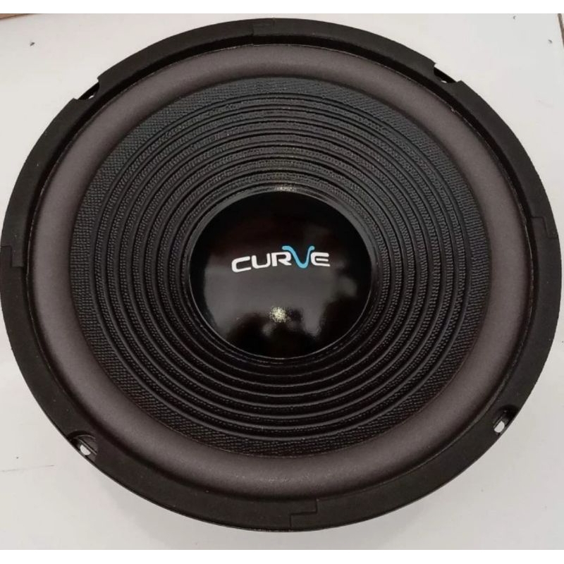 Speaker curve 10 inch 25h100SUWPP woofer