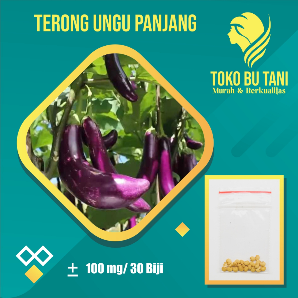 Benih Terong Ungu Panjang Bibit Sayur Terong Ungu Panjang