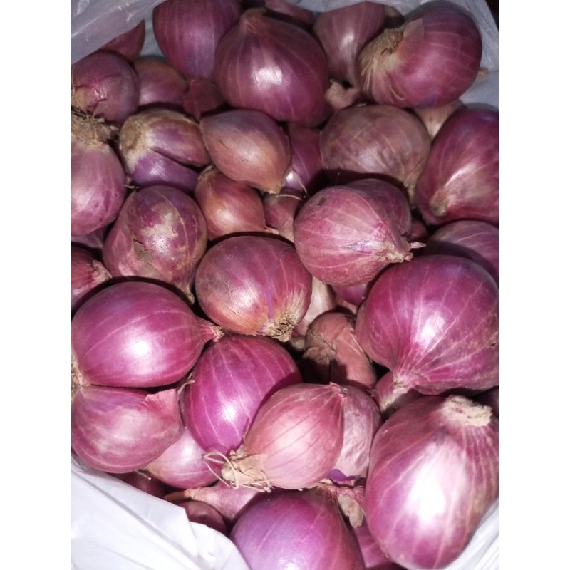 

bawang merah kering jenis bima