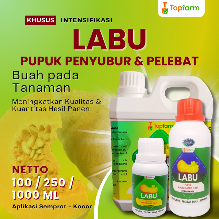 Pupuk Pelebat Buah Labu / Pupuk Pelebat Labu / Pupuk Buah Labu / Pupuk Labu / Pupuk Penyubur Buah La