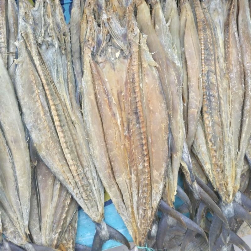 

Telang Tenggiri 1kg Utuh