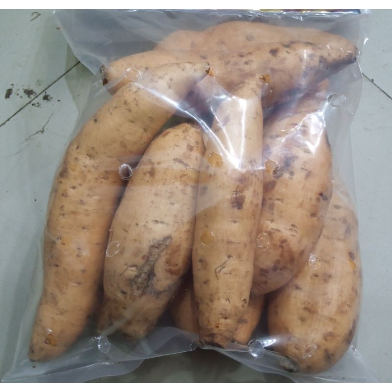 

Ubi Madu Cilembu 500gr