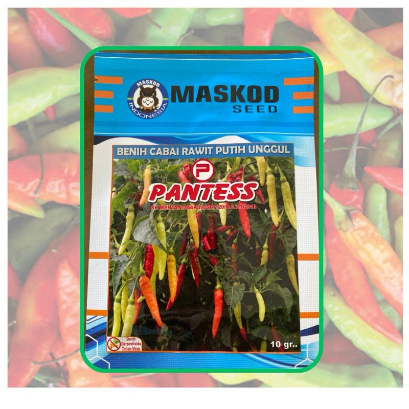 Benih Cabai Rawit PANTESS 10 gram - Cap Maskod Seed