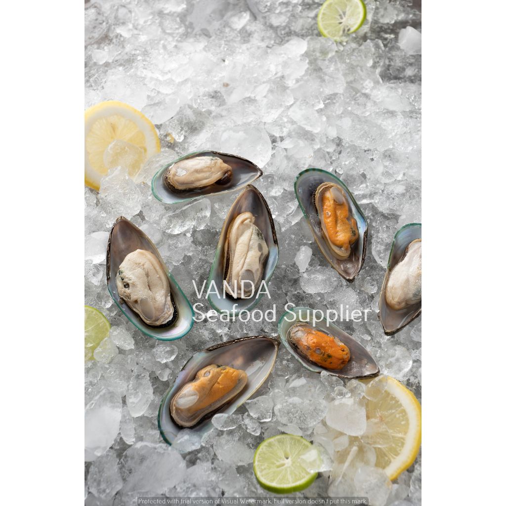 

Green Mussels New Zealand - Kerang Hijau