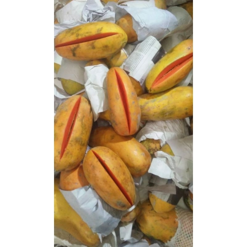 

Buah manizz Pepaya California