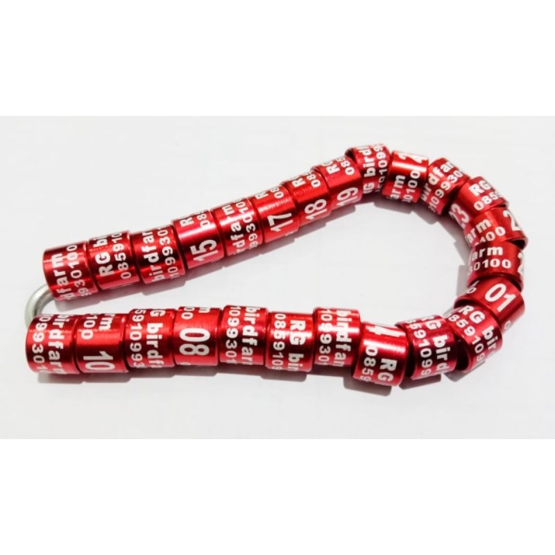 RING BURUNG DARA DEWASA RING MERPATI DEWASA ukuran 9mm PESAN NAMA ISI 10 BUAH