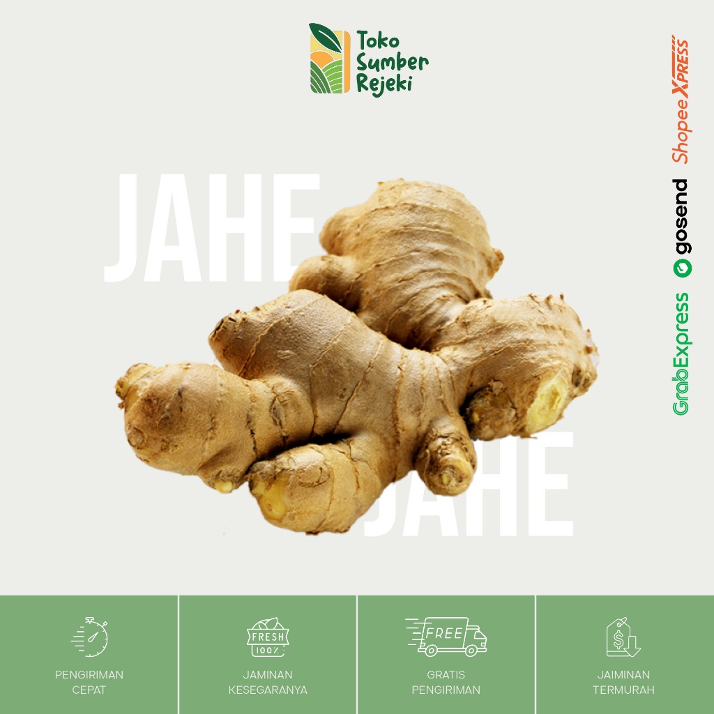 

Jahe Gajah / Emprit Segar - Toko Sumber Rejeki Yogyakarta
