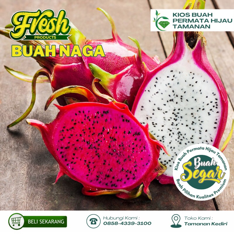 

Buah Naga Segar Fresh 1 Kg isi 2 - 3