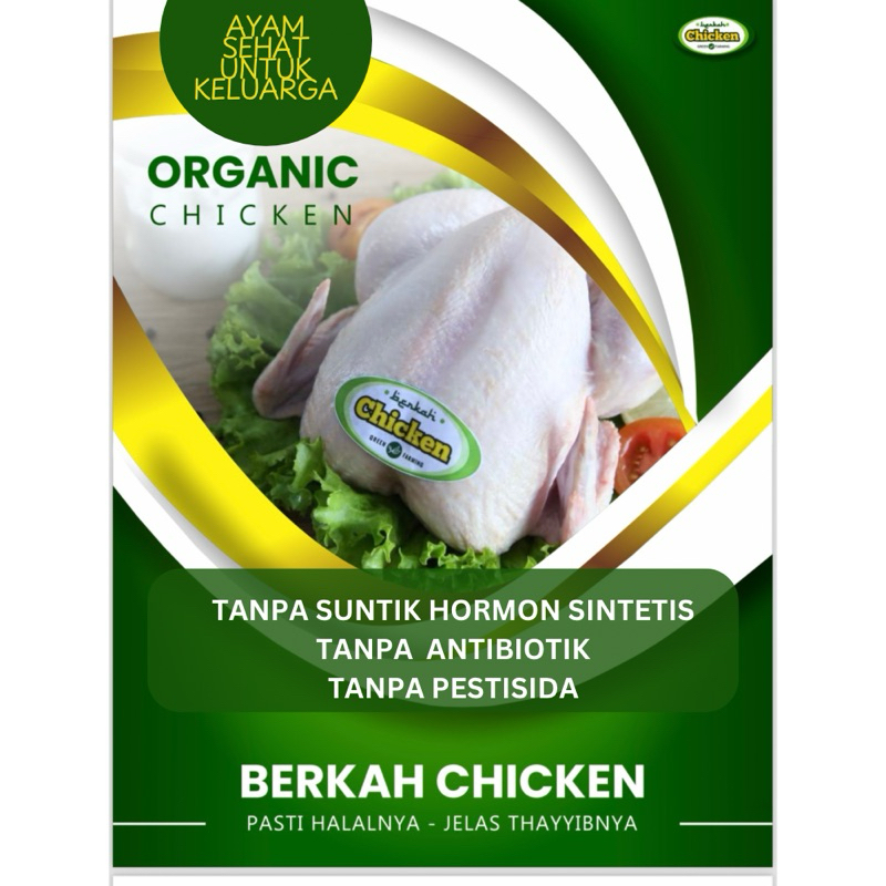 

Dada Ayam organik| Berkah chicken| Sayap Ayam Organik| Paha Ayam Organik| Ayam Sehat | Ceker Organik| Ayam Probiotik