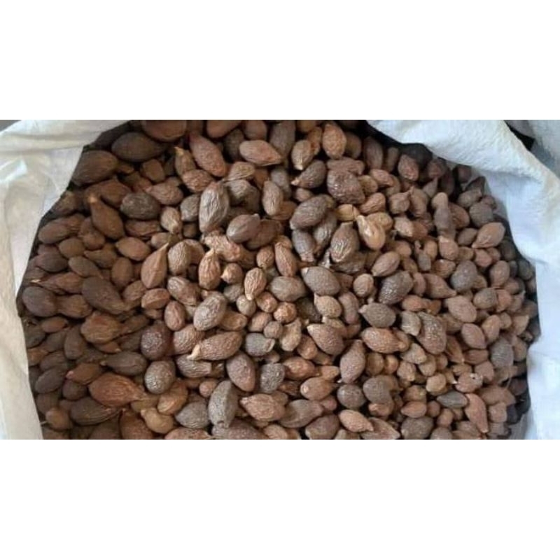 

Tempayang 10gram