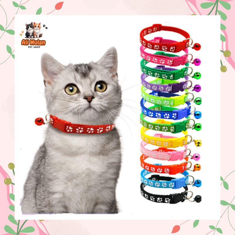 Kalung kucing / kalung kucing & anjing / kalung kucing murah / kalung anjing