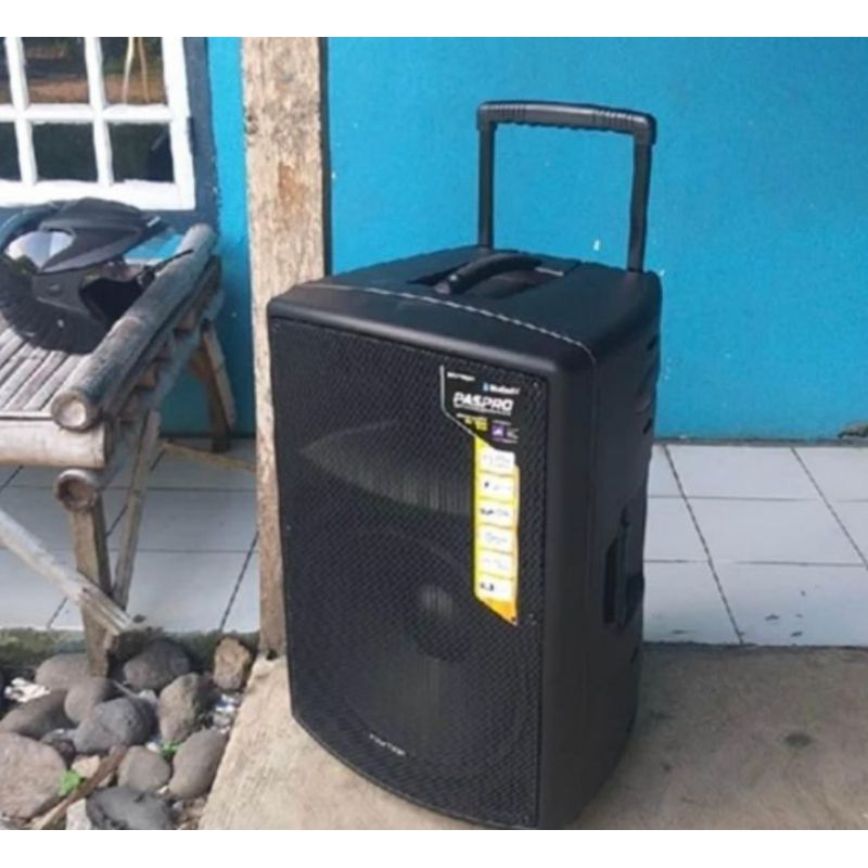 Polytron paspro 15 inch