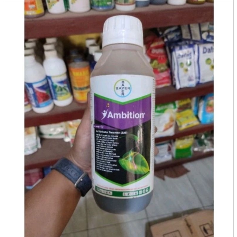 AMBITION - Zat Aktivator - Bayer