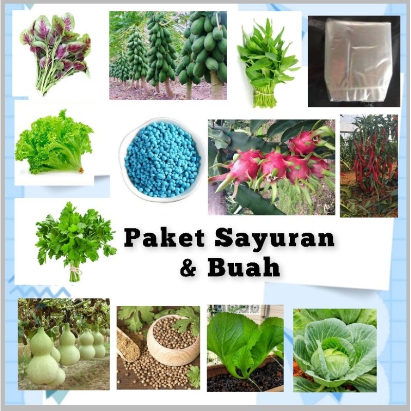 Paket Benih Sayuran Dan Buah Buahan Mudah Ditanam Bibit Sayuran